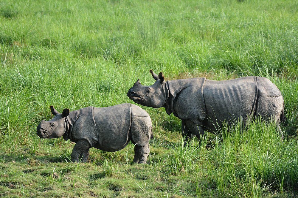 Top 10 Must-Visit Tourist Destinations in Northeast India